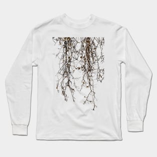 Marple tree in winter Long Sleeve T-Shirt